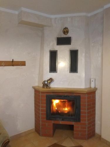 a fireplace in a living room with a fire place at Agroturystyka na Łubii in Miastkowo