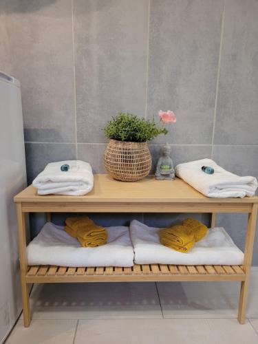 ein Regal mit Handtüchern und einer Topfpflanze darauf in der Unterkunft Cocooning House 204 Suite Green- Superb studio Aéroport PARIS Roissy CDG, Parc ASTERIX, Château de CHANTILLY, STADE DE FRANCE in Survilliers