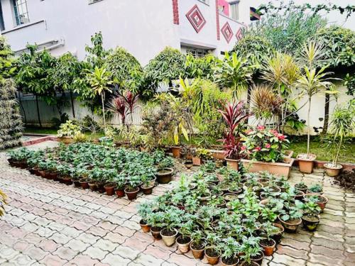 a bunch of potted plants in a garden at Ak22 stays Bardhaman Burdwan in Barddhamān