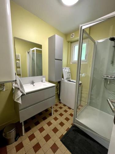 une salle de bain avec un lavabo et une douche dans l'établissement Gîte La Bienvenue, à Saint-Martin-Plage