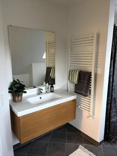 a bathroom with a sink and a mirror at Lys nyrenoveret lejlighed i Odense C in Odense