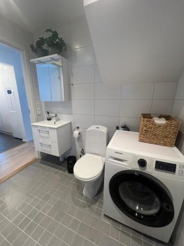 een badkamer met een wasmachine en een toilet bij New cabin in fabulous Idre activity area in Idre