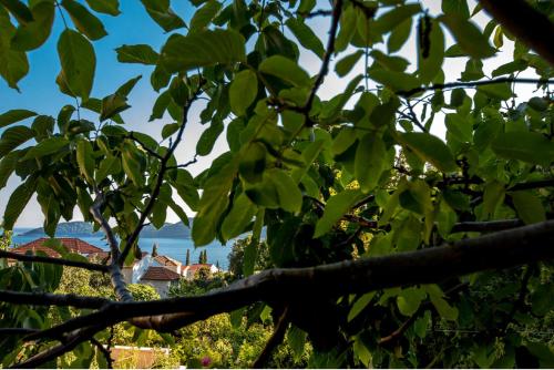 Afbeelding uit fotogalerij van La Dorada Holiday Home in Trsteno