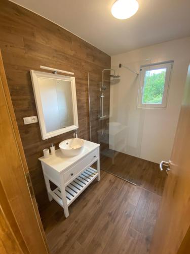 uma casa de banho com um lavatório, um espelho e um chuveiro em Chalupa 96 em Víchová nad Jizerou