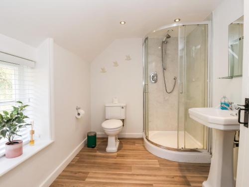 uma casa de banho com um chuveiro, um WC e um lavatório. em Cliff Cottage em Thirsk