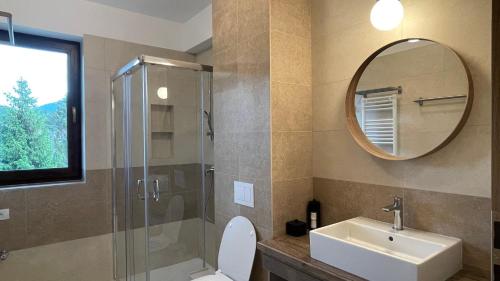 a bathroom with a toilet and a sink and a mirror at PENTA Apartments in Sinaia