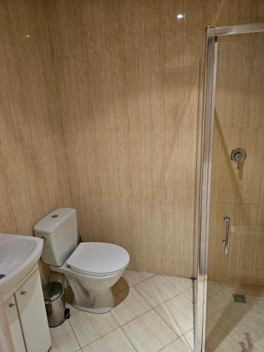a bathroom with a toilet and a shower at Kasztanowy Dwór in Cieszyn