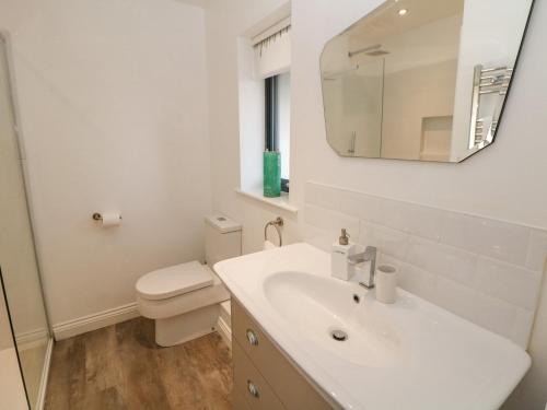 a white bathroom with a toilet and a sink at Causeway Hideaway in Sheffield