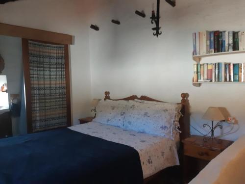 a bedroom with a bed and a book shelf at Casita Tomate in Granada