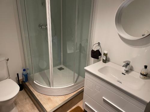La salle de bains est pourvue d'une douche, de toilettes et d'un lavabo. dans l'établissement F2 Centre Historique Saint Colomban, à Luxeuil-les-Bains