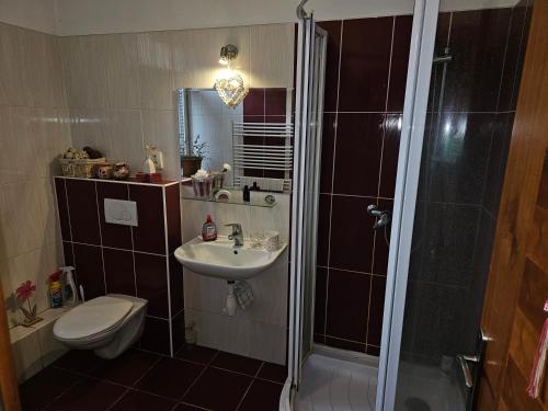 een badkamer met een douche, een wastafel en een toilet bij Ubytovani Stodolni in Moravská Ostrava