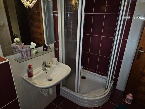 a bathroom with a shower and a sink and a shower at Ubytovani Stodolni in Moravská Ostrava