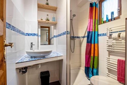 La salle de bains est pourvue d'un lavabo et d'une douche. dans l'établissement Einzimmer Appartment in Heckenbeck, à Bad Gandersheim