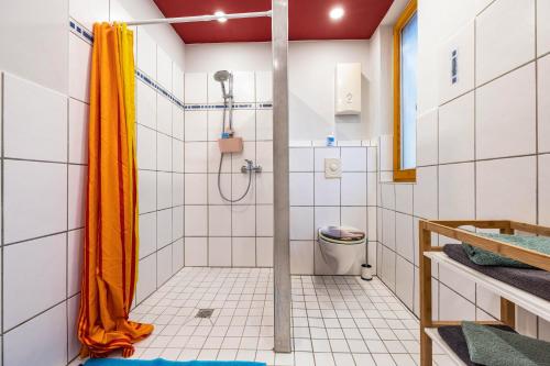 a bathroom with a shower and a toilet at Grosszügige Fewo in Heckenbeck in Bad Gandersheim