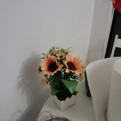 Fotografie z fotogalerie ubytování Affection Apartment v destinaci Boloňa