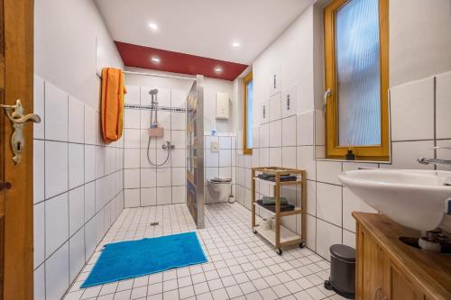 a bathroom with a shower and a sink and a toilet at Fewo mit Behelfsküche in Heckenbeck in Bad Gandersheim
