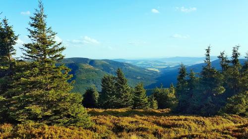 a view from the top of a mountain with trees at Apartmány Marek a Michal in Dolní Morava