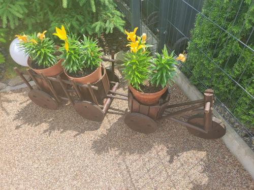 a group of plants in a flower cart at Drewniany Domek Daria i Tomek 2 domki na 8 osób in Stronie Śląskie