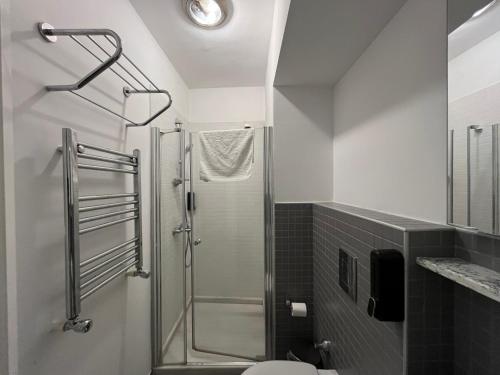 a bathroom with a glass shower with a toilet at Volga Rika Hotel in Istanbul