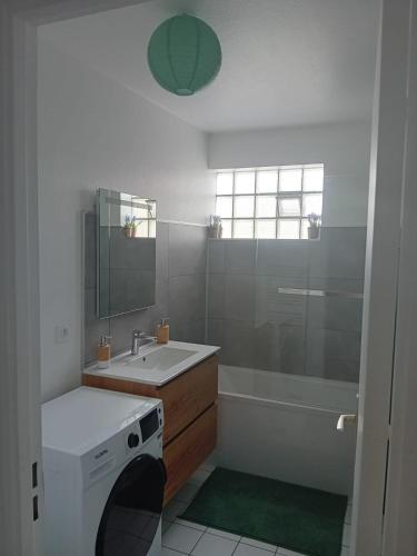 une salle de bain avec un lavabo et une machine à laver dans l'établissement L'EDEN DE CHARTRES, à Chartres
