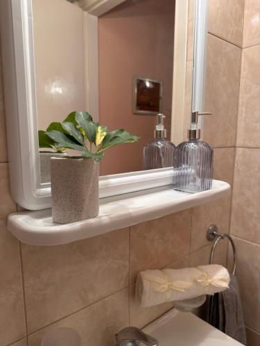 a bathroom with a mirror and a plant on a shelf at Luxury Beach House Perfect For Vacations in Xiropigado