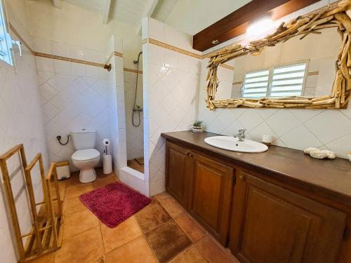 La salle de bains est pourvue d'un lavabo, de toilettes et d'un miroir. dans l'établissement Villa L'Orangeraie, à Le Moule