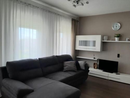 a living room with a couch and a television at Ferienwohnung Leithaberg in Eisenstadt
