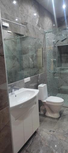 een badkamer met een wastafel, een toilet en een douche bij Guga gold in Tbilisi City