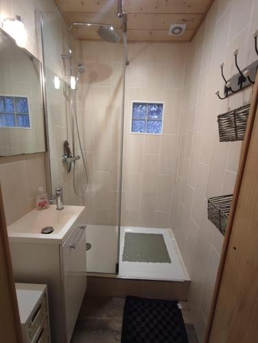 une salle de bain avec douche et lavabo dans l'établissement Residence l'Oncet - Appartement 8 personnes, à Barèges