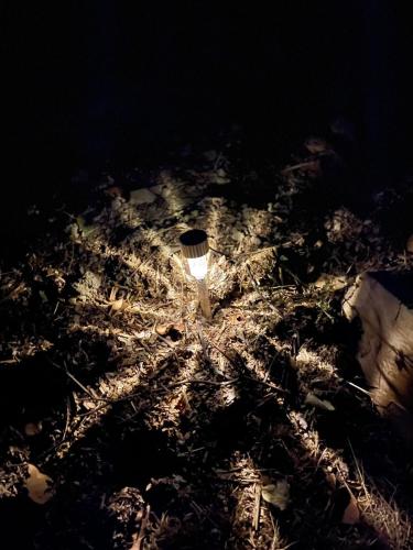 a cup sitting on the ground at night at Private Lakeside Retreat in Renac