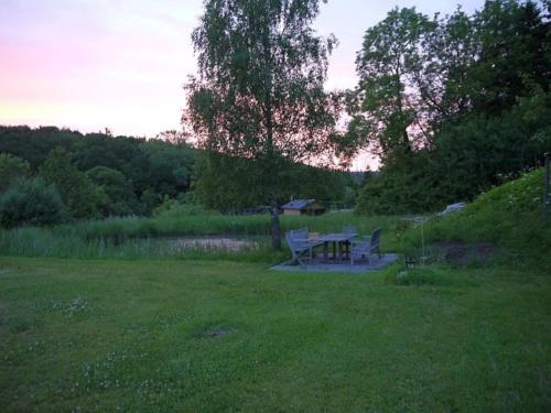 a picnic table in a field next to a pond at Ferienwohnung Axeli Knapp in Schleswig