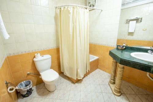 a bathroom with a toilet and a sink and a shower at Assiutel in Asyut