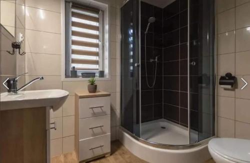 La salle de bains est pourvue d'une douche, d'un lavabo et de toilettes. dans l'établissement Solina domki-„Solińskie wzgórze”, à Solina