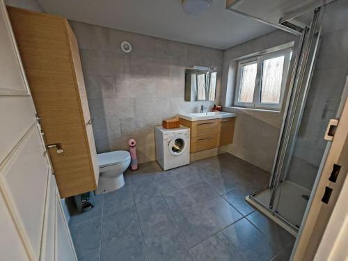 La salle de bains est pourvue d'un lavabo et d'un lave-linge. dans l'établissement Appartement au sein d'une maison, à Issenheim