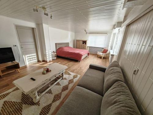 ein Wohnzimmer mit einem Sofa und einem Bett in der Unterkunft Appartement au sein d'une maison in Issenheim