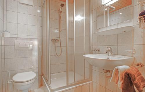 La salle de bains est pourvue d'une douche, d'un lavabo et de toilettes. dans l'établissement Awesome Apartment In St, Gallenkirch With Ethernet Internet, à Sankt Gallenkirch