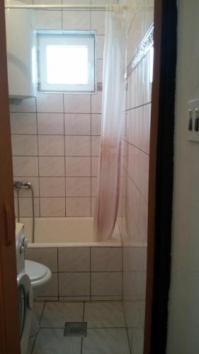 a bathroom with a shower and a tub and a toilet at Apartment Mari in Kruševo