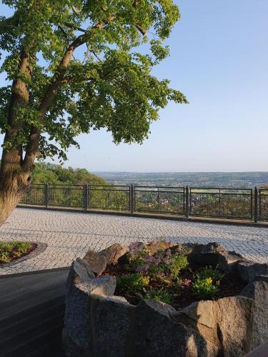 a view of a tree and a flower garden at Hotel Zum Pfeiffer in Radebeul