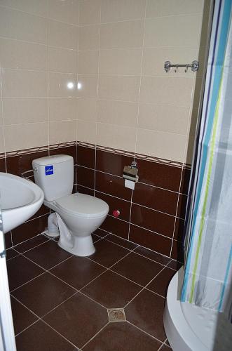 a bathroom with a toilet and a sink at Hotel Okriba in Kutaisi