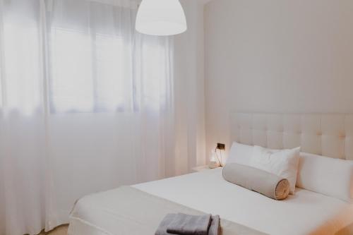 SUITE ZAMORANO