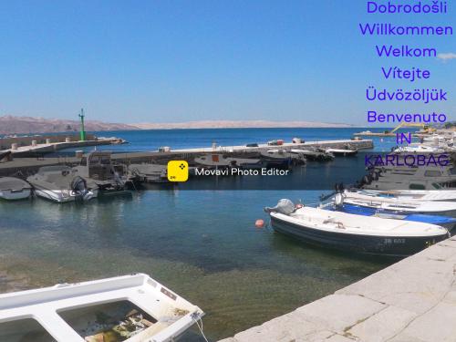 a group of boats are docked at a marina at APARTMAN KEVIN in Karlobag