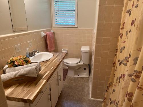 La salle de bains est pourvue de toilettes et d'un lavabo. dans l'établissement Little House by the Lake, à Hartwell