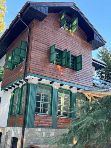 a house with green windows on the side of it at Villa Adis with Hot Pool & Jacuzzi by BookVillaBG in Borovets