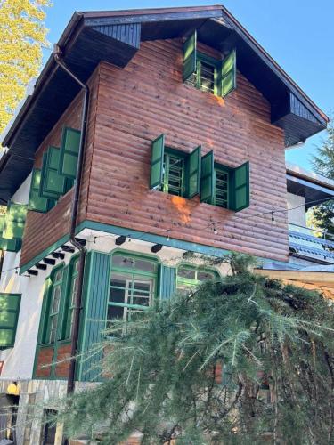 a house with green windows on the side of it at Villa Adis with Hot Pool & Jacuzzi by BookVillaBG in Borovets
