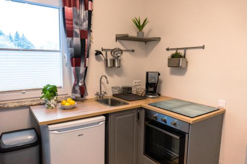 a small kitchen with a sink and a counter at Real Top 1 in Keutschach am See