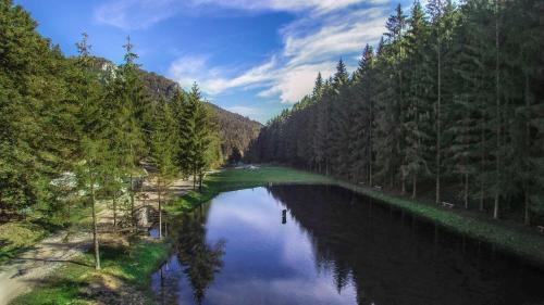 a river in the middle of a forest at Chata Patúch in Babkov