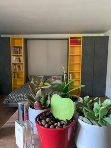 a table with three potted plants on top of it at Appartamento con giardino in Pontecchio