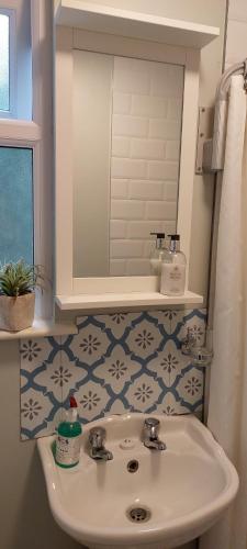 a bathroom with a sink and a mirror at The Studio in Kildare