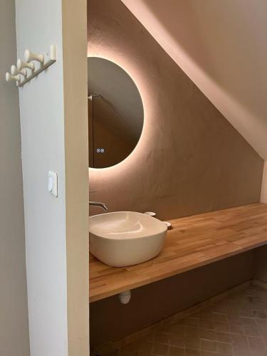 une salle de bain avec un lavabo et un miroir sur un comptoir dans l'établissement Charmante maison de campagne, à Saint-Michel-Labadié