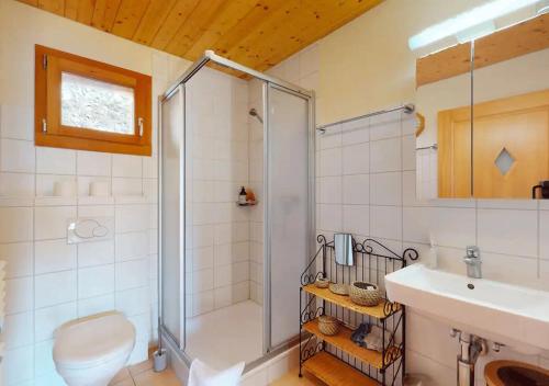 y baño con ducha, aseo y lavamanos. en Chalet authentique avec magnifique vue en Cerniat